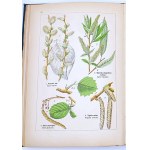 WILKOMM - ATLAS DE L'ÉTAT DES PLANTES planches en couleurs, gravures sur bois