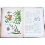 WILKOMM - ATLAS DE L'ÉTAT DES PLANTES planches en couleurs, gravures sur bois
