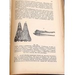 BOAS- PODRĘCZNIK ZOOLOGII 1893 setki rycin