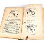 DOBRZAŃSKI- VETERINARY HANDBOOK 1939 gravures