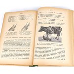 DOBRZAŃSKI- VETERINÁRNÍ PŘÍRUČKA 1939 rytiny