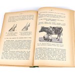DOBRZAŃSKI- VETERINARY HANDBOOK 1939 gravures