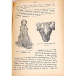 DOBRZAŃSKI- MANUALE VETERINARIO 1939 incisioni