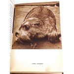 CENTKIEWICZ - WEISSES SEAL 1. Auflage, 1938