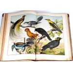 SCHUBERT - HISTOIRE NATURELLE DES OISEAUX publ. 1900 planches