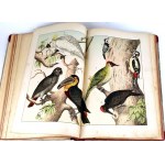 SCHUBERT - STORIA NATURALE DEGLI UCCELLI, pubblicazione del 1900.