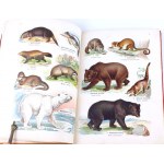 LAMPERT- ATLAS DE L'ÉTAT ANIMAL PARTIE 1 Animaux allaitants