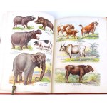 LAMPERT- ATLAS PAŃSTWA ZWIERZĘCEGO Cz.1 Zwierzęta ssące
