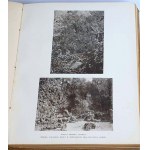 SIEDLECKI- JAWA Przyroda i sztuka. Uwagi z podróży 1913