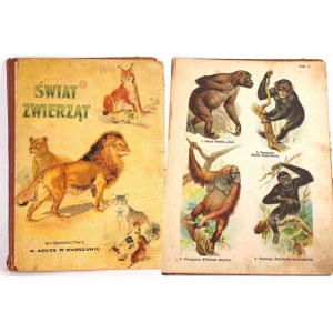 SCHLEYER- ATLAS DES ANIMAUX 30 planches couleur 1923