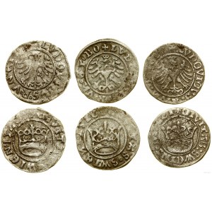Silésie, lot 3 x demi-penny de ville, 1521, 2 x 1526, Świdnica