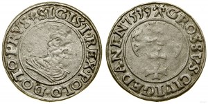 Poľsko, penny, 1539, Gdansk