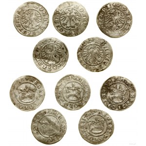 Polen, Satz von 5 x halben Pfennig, 1507, 1508, 1509, 1510, 1511, Krakau