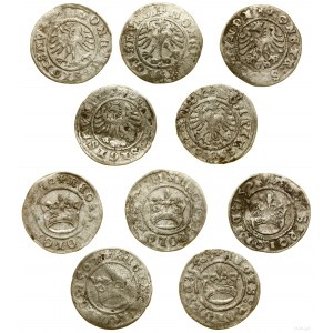 Pologne, série de 5 x demi-penny, 1507, 1508, 1509, 1510, 1511, Cracovie