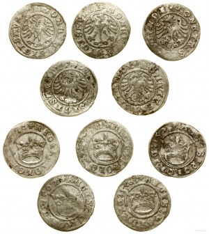 Polska, zestaw 5 x półgrosz, 1507, 1508, 1509, 1510, 1511, Kraków