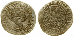 Poland, sheląg, 1531, Toruń