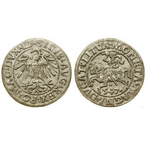 Pologne, demi-penny, 1547, Vilnius