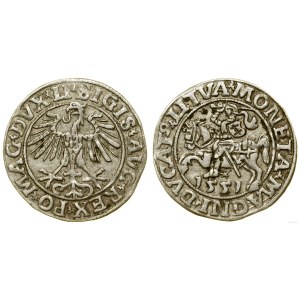 Pologne, demi-penny, 1551, Vilnius