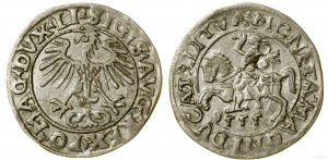 Polska, półgrosz, 1555, Wilno