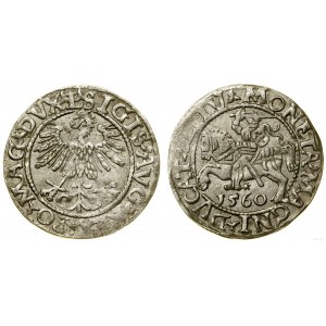 Polska, półgrosz, 1560, Wilno