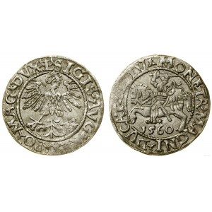 Pologne, demi-penny, 1560, Vilnius