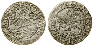 Polska, półgrosz, 1560, Wilno
