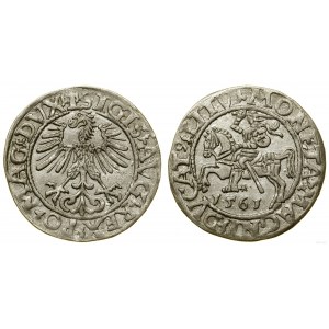 Polska, półgrosz, 1561, Wilno
