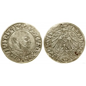 Prussia Ducale (1525-1657), penny, 1541, Königsberg