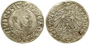 Prusse ducale (1525-1657), sou, 1541, Königsberg