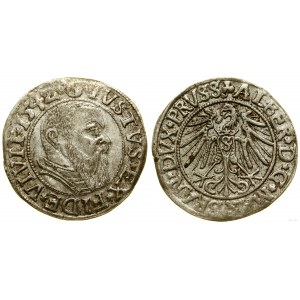 Herzogliches Preußen (1525-1657), Pfennig, 1542, Königsberg