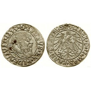 Herzogliches Preußen (1525-1657), Pfennig, 1543, Königsberg