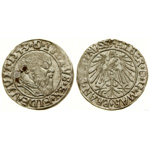 Prussia Ducale (1525-1657), penny, 1543, Königsberg