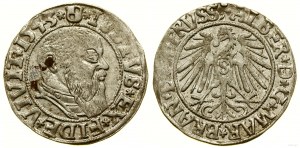 Ducal Prussia (1525-1657), penny, 1543, Königsberg