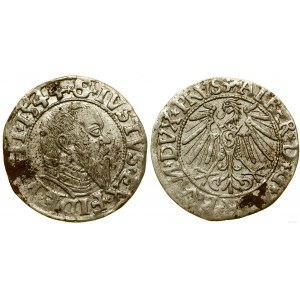 Ducal Prussia (1525-1657), penny, 1544, Königsberg