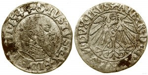 Prusse ducale (1525-1657), sou, 1544, Königsberg