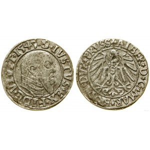 Prussia Ducale (1525-1657), penny, 1545, Königsberg