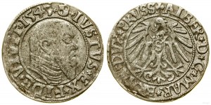 Prussia Ducale (1525-1657), penny, 1545, Königsberg