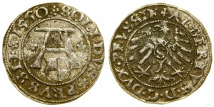 Prusy Książęce (1525-1657), szeląg, 1550, Królewiec