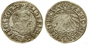 Silésie, centime, 1544, Legnica