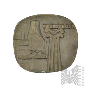 Medal “Za Zasługi Dla Puław / Przeszłość-Przyszłość
