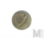 Inghilterra, Londra, 1917. - La medaglia di Tadeusz Kosciuszko - Comitato per il Centenario di Kosciuszko Londra MCMXVII, Polonia Resurgens, Cordino di bronzo