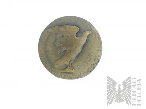 England, London, 1917. - Die Tadeusz Kosciuszko-Medaille - Kosciuszko Centenary Committee London MCMXVII, Polonia Resurgens, Bronze Lany