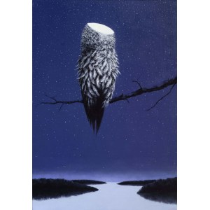 Rafal Borcz ( 1973), Owl, 2011