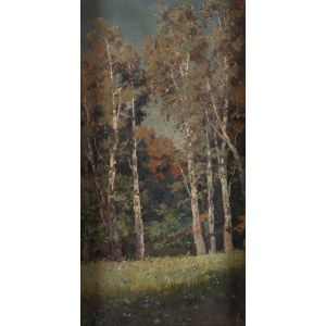 Eugeniusz Wrzeszcz (1851 Kiev Governorate - 1917 Kiev), Landscape with birches