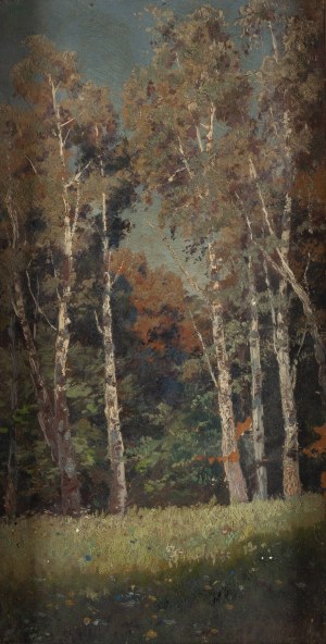Eugeniusz Wrzeszcz (1851 Kyjevská gubernia - 1917 Kyjev), Krajina s brezami