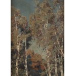 Eugeniusz Wrzeszcz (1851 Kiev Governorate - 1917 Kiev), Landscape with birches