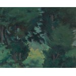 Mieczyslaw Trautman (1885-1941), Paesaggio forestale, 1924