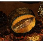 Francesco Noletti Il Maltese (ambito di) (Malta 1611 - Rím 1654), Zátišie s ovocím a kvetmi na koberci