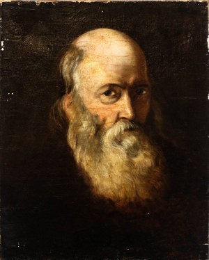Artista fiammingo, XVII secolo, Manly portrait with beard