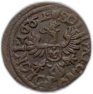 Polska, Solidus (Szeląg), 1661 r.